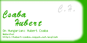 csaba hubert business card